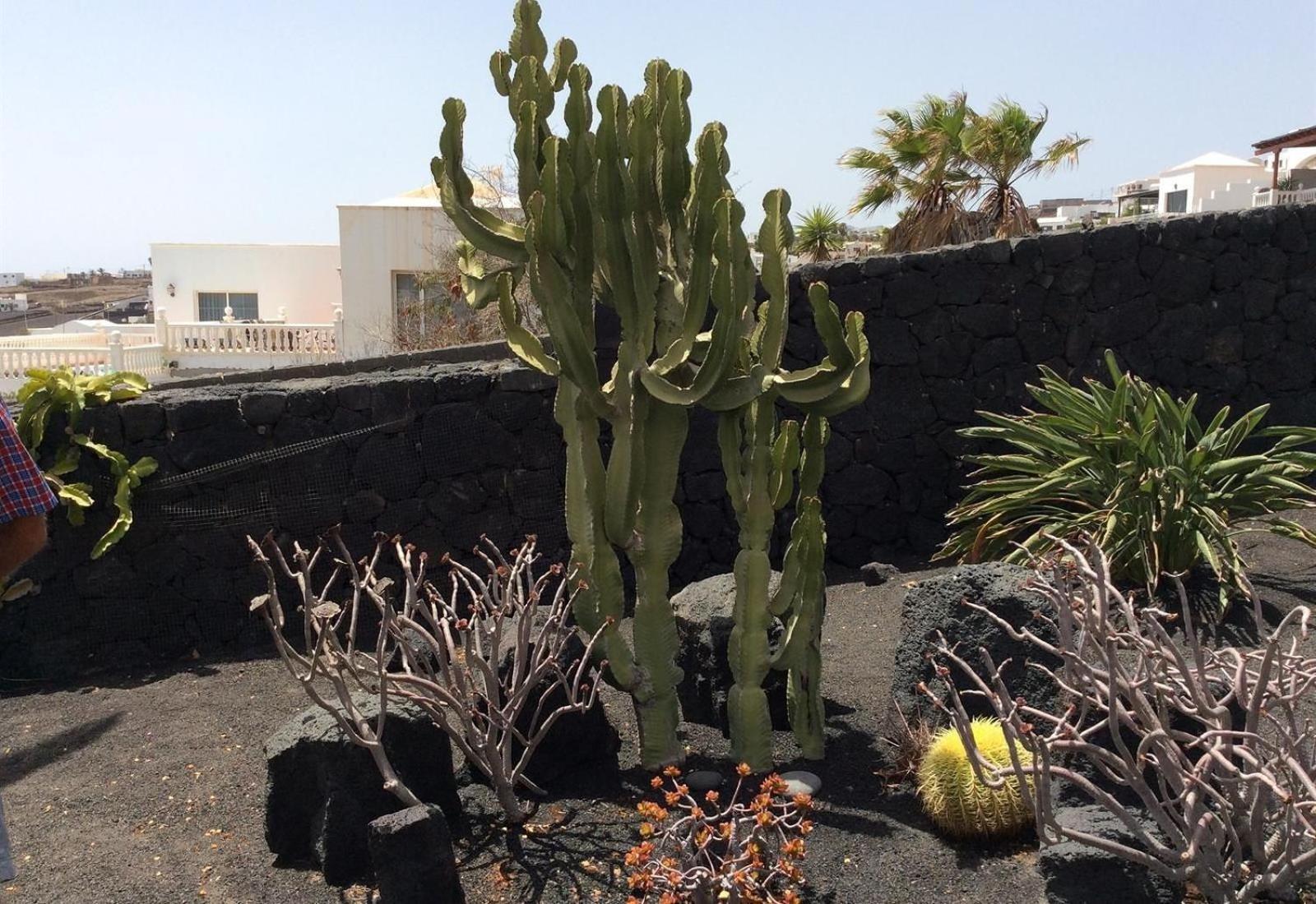 فيلا Casa Mcelroy تياس المظهر الخارجي الصورة